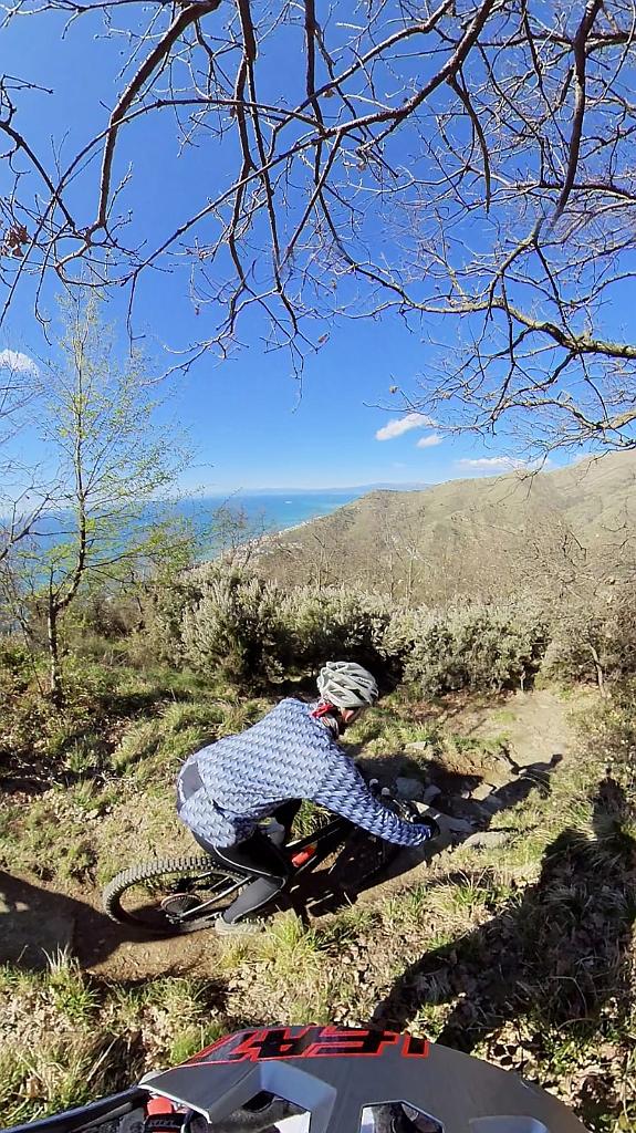 WhatsApp Image 2021-03-14 at 17.37.33.jpeg